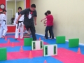 taekwondo-1